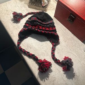 Wool ski hat with fleece liner and BRAIDS